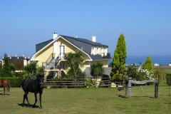 caballos-vistas-mar